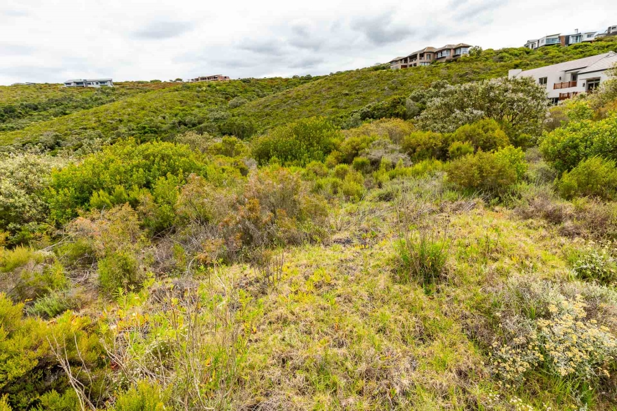 0 Bedroom Property for Sale in Breakwater Bay Eco Estate Western Cape